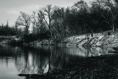 河流附近树木的灰度照片
